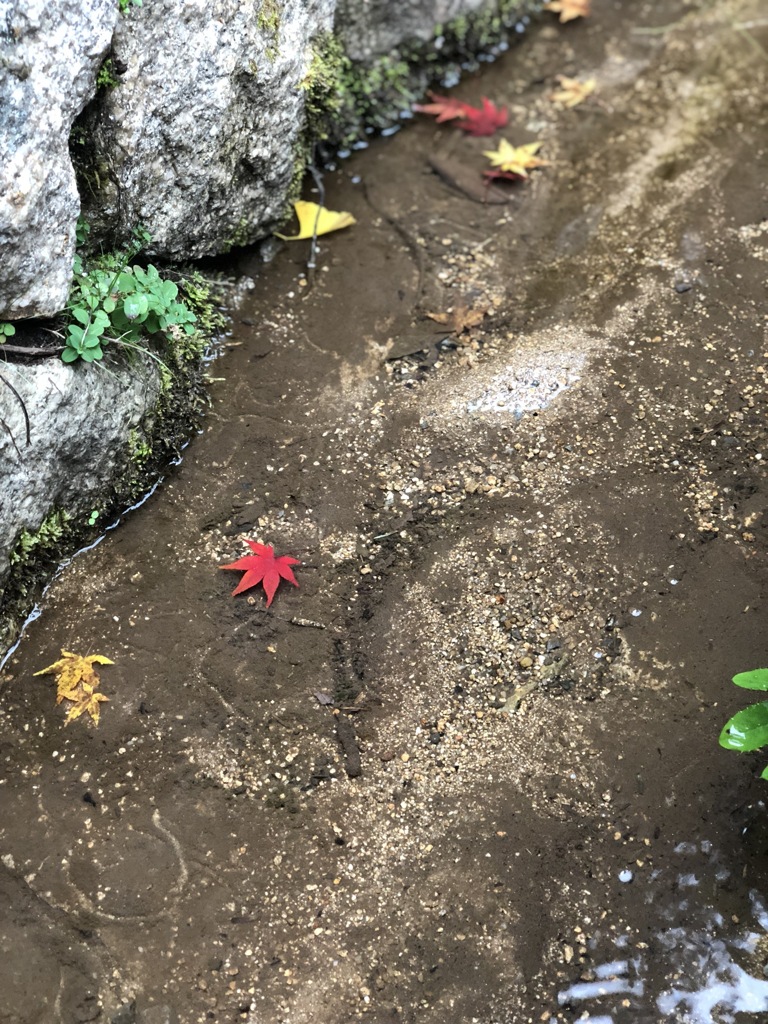 山の水
