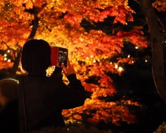 newスマホ