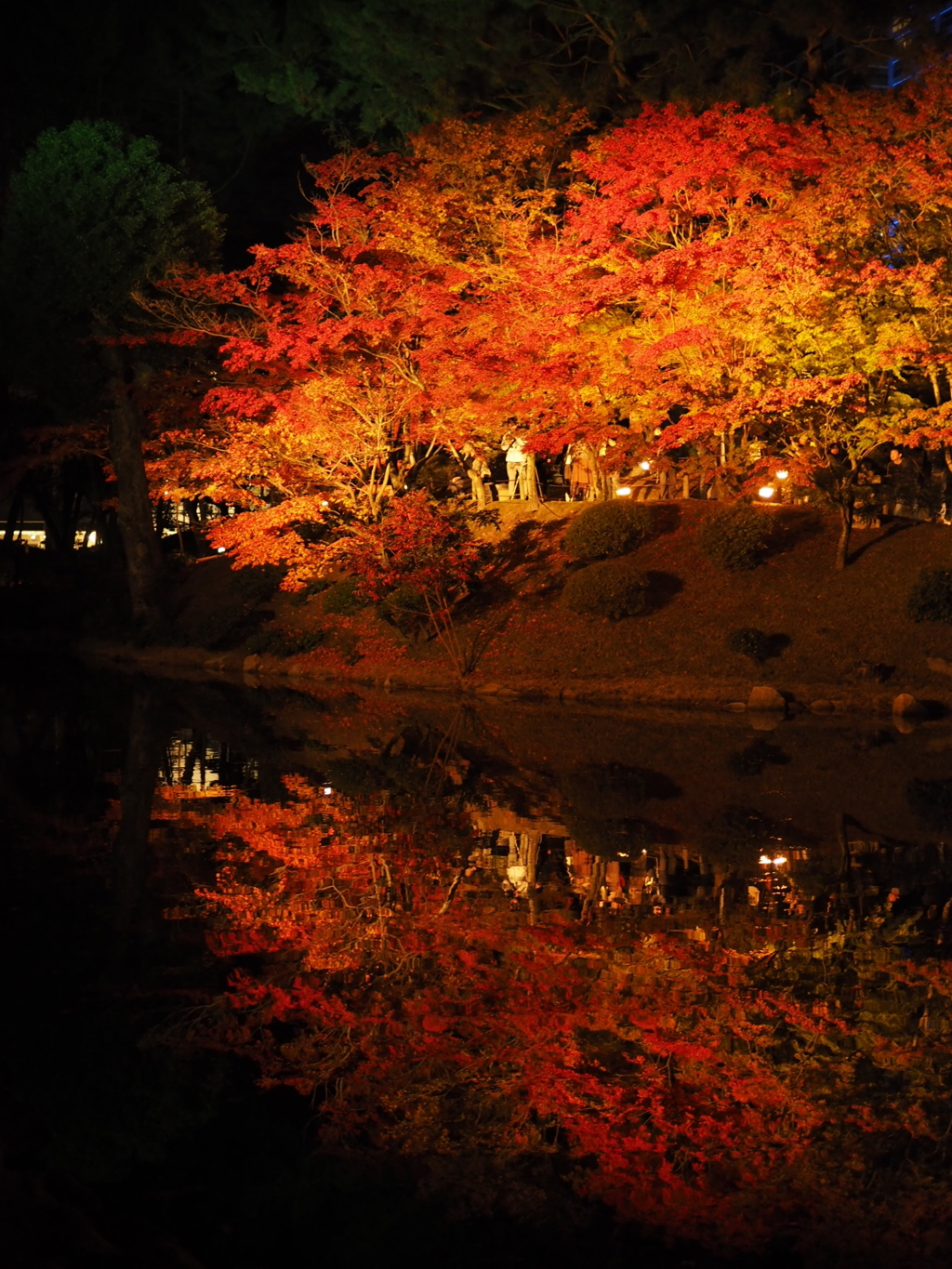 紅葉のライトアップ