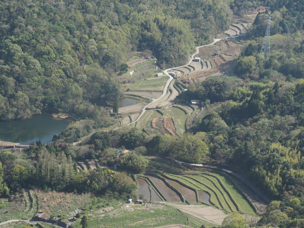 田園風景