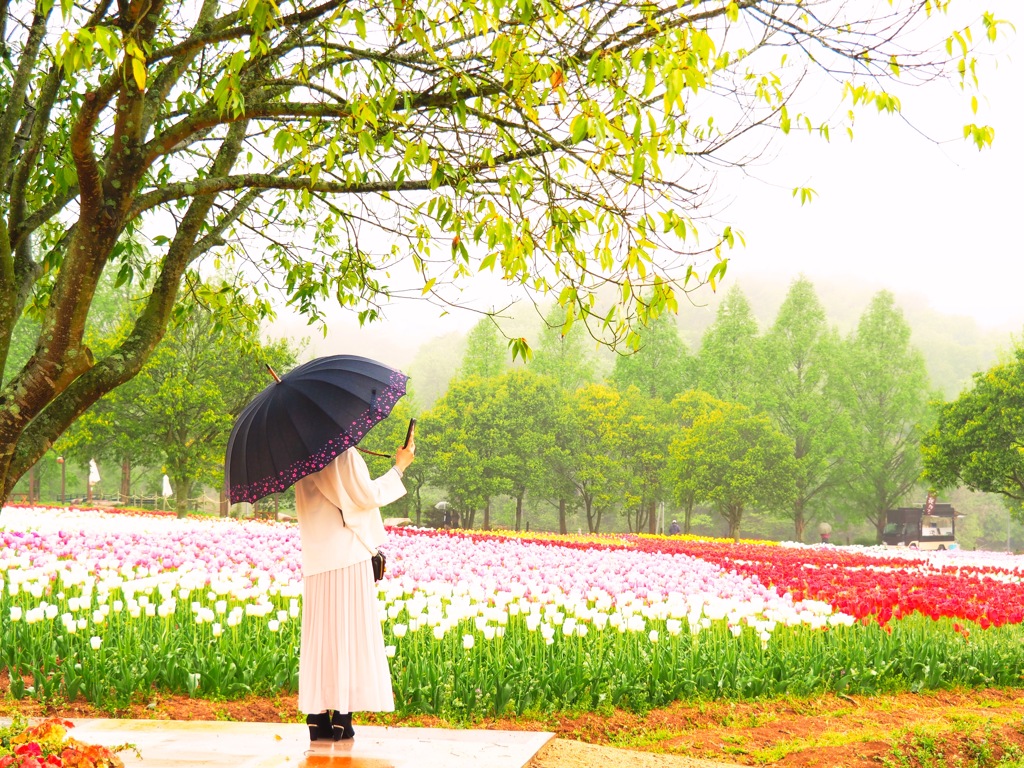 雨の撮影