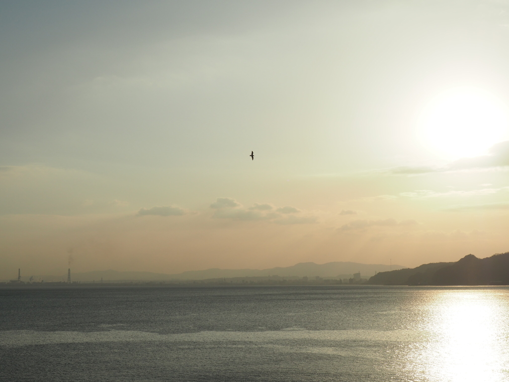 正月の海
