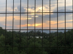 久しぶりの夕日