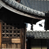 横顔