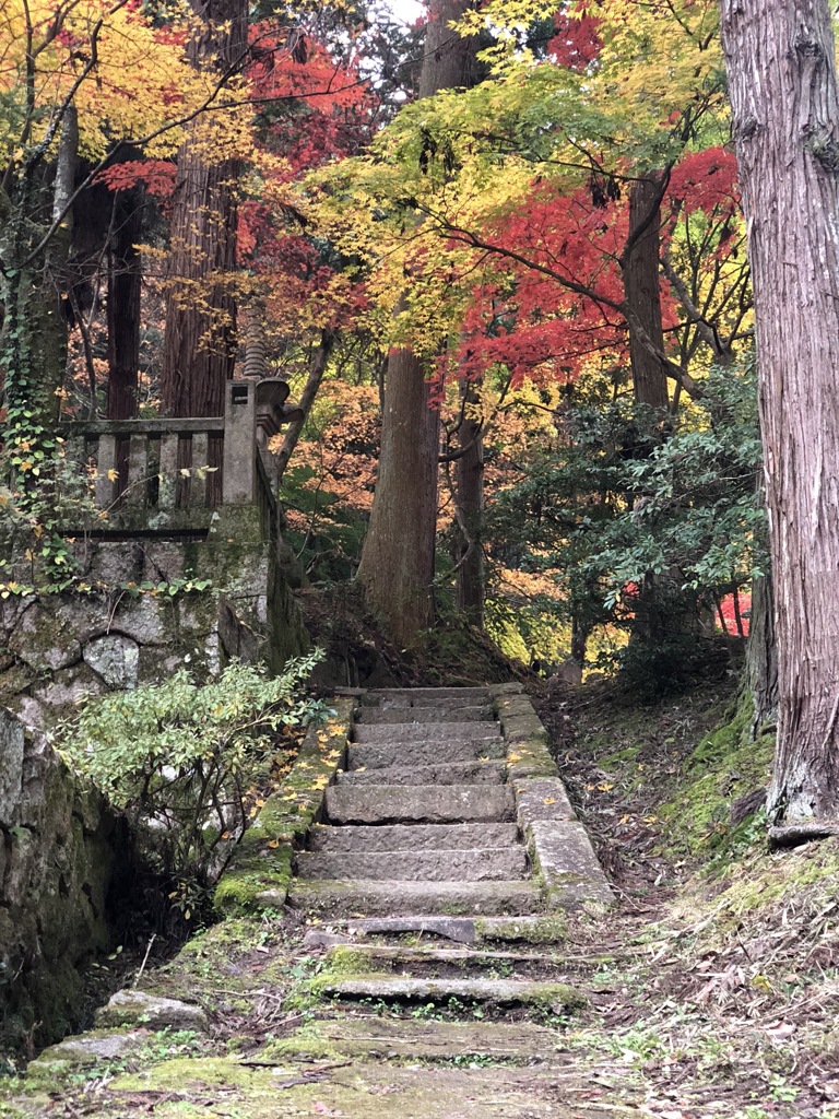 階段の向う側