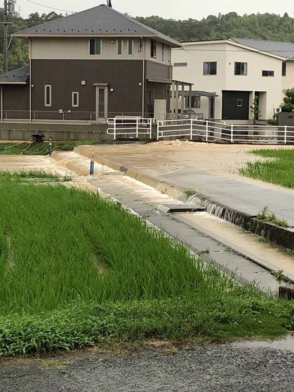 いちばん近くでの被害