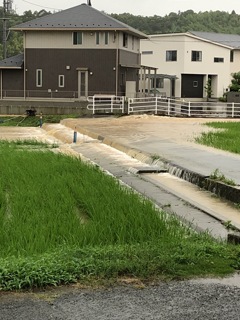 いちばん近くでの被害