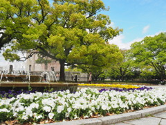 平和公園の春