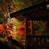 仙石庭園ライトアップ