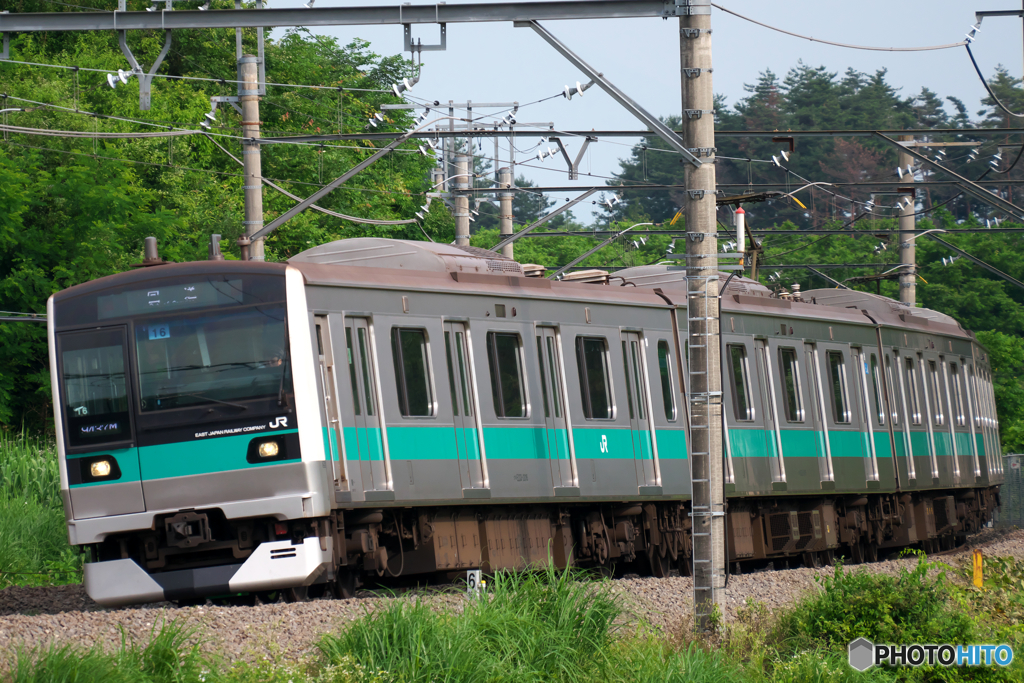 E233系2000番台 3