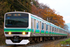 E231系