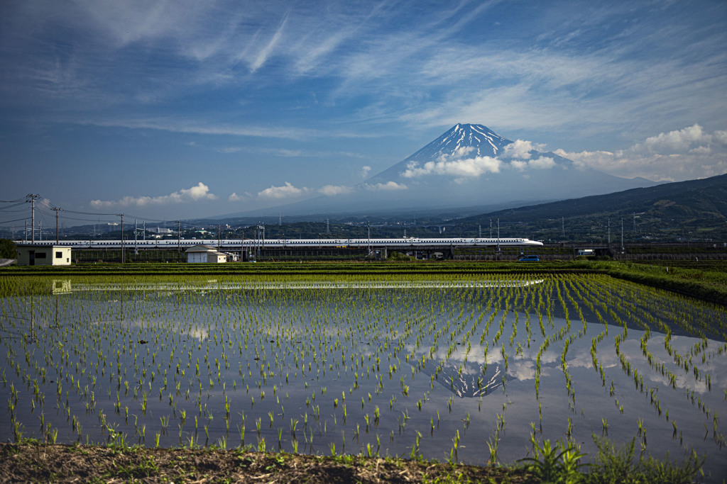 田植え終えて