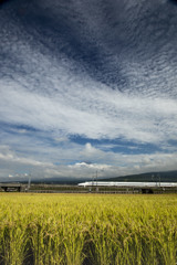 雲