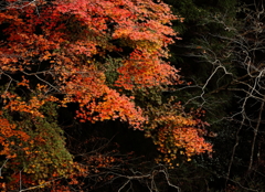 須津川渓谷