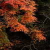 須津川渓谷