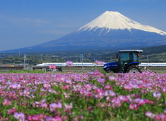 田植えの準備