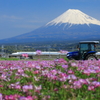 田植えの準備