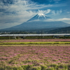 レンゲと富士