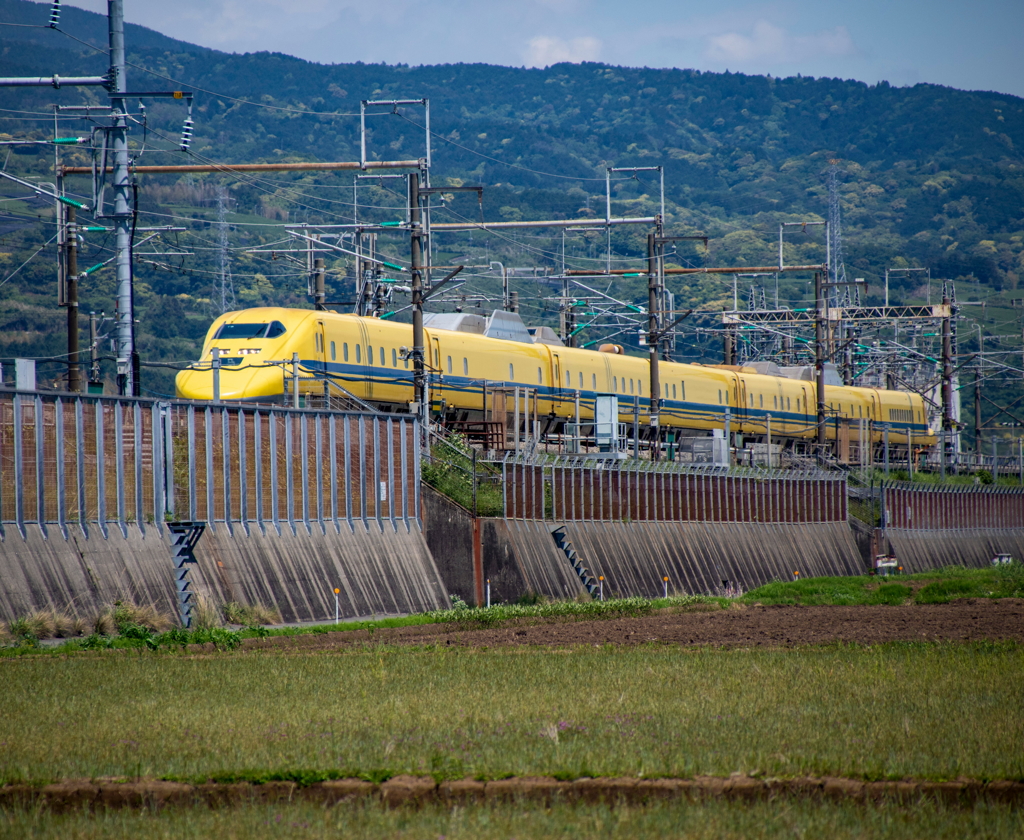 イエローが走る