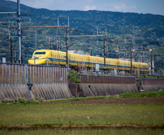 イエローが走る