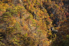 鳴子峡4