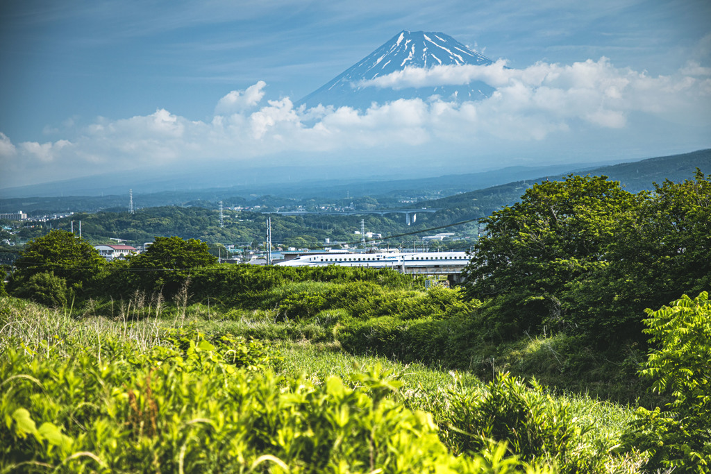 富士山