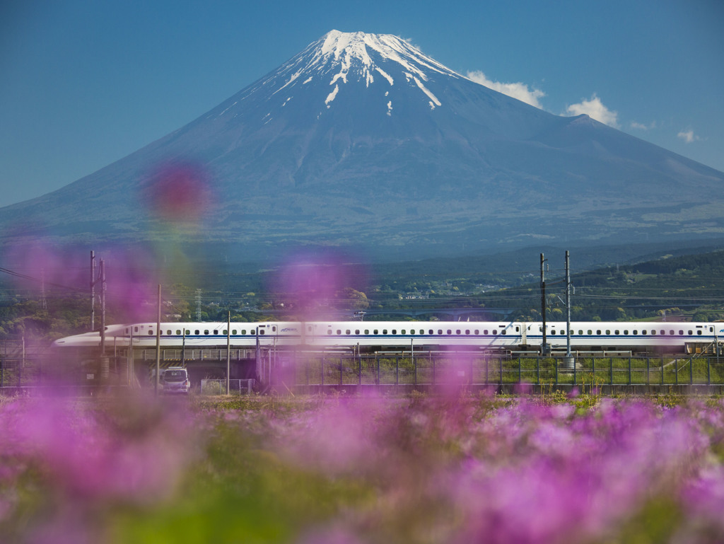 レンゲと富士