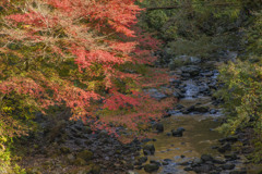 須津川渓谷3