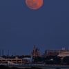 flower Moon (花月)　202005074