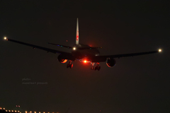 城南島海浜公園  201908242