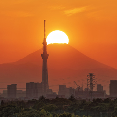 ダイヤモンド富士(鎌ヶ谷)　20251107