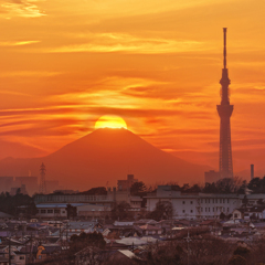 ダイヤモンド富士(市川)　20260204