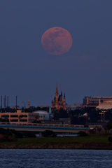 flower Moon (花月)　202005073