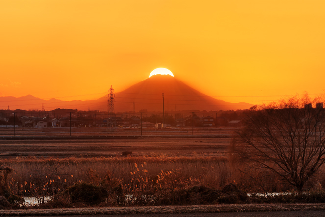 ダイヤモンド富士(富士見台)　20260114