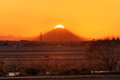 ダイヤモンド富士(富士見台)　20260114