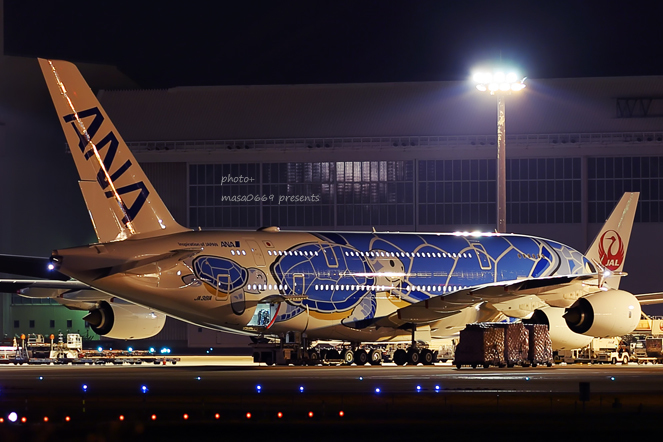 成田空港　201904034