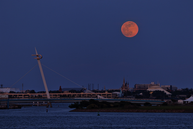 flower Moon (花月)　202005075