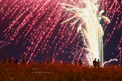 松戸花火大会　201908035