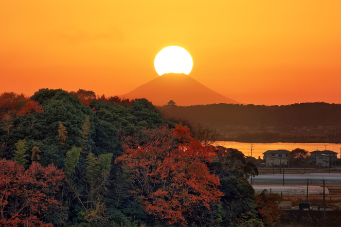 ダイヤモンド富士(玉造Ｂ＆Ｇ海洋センター)　20251130