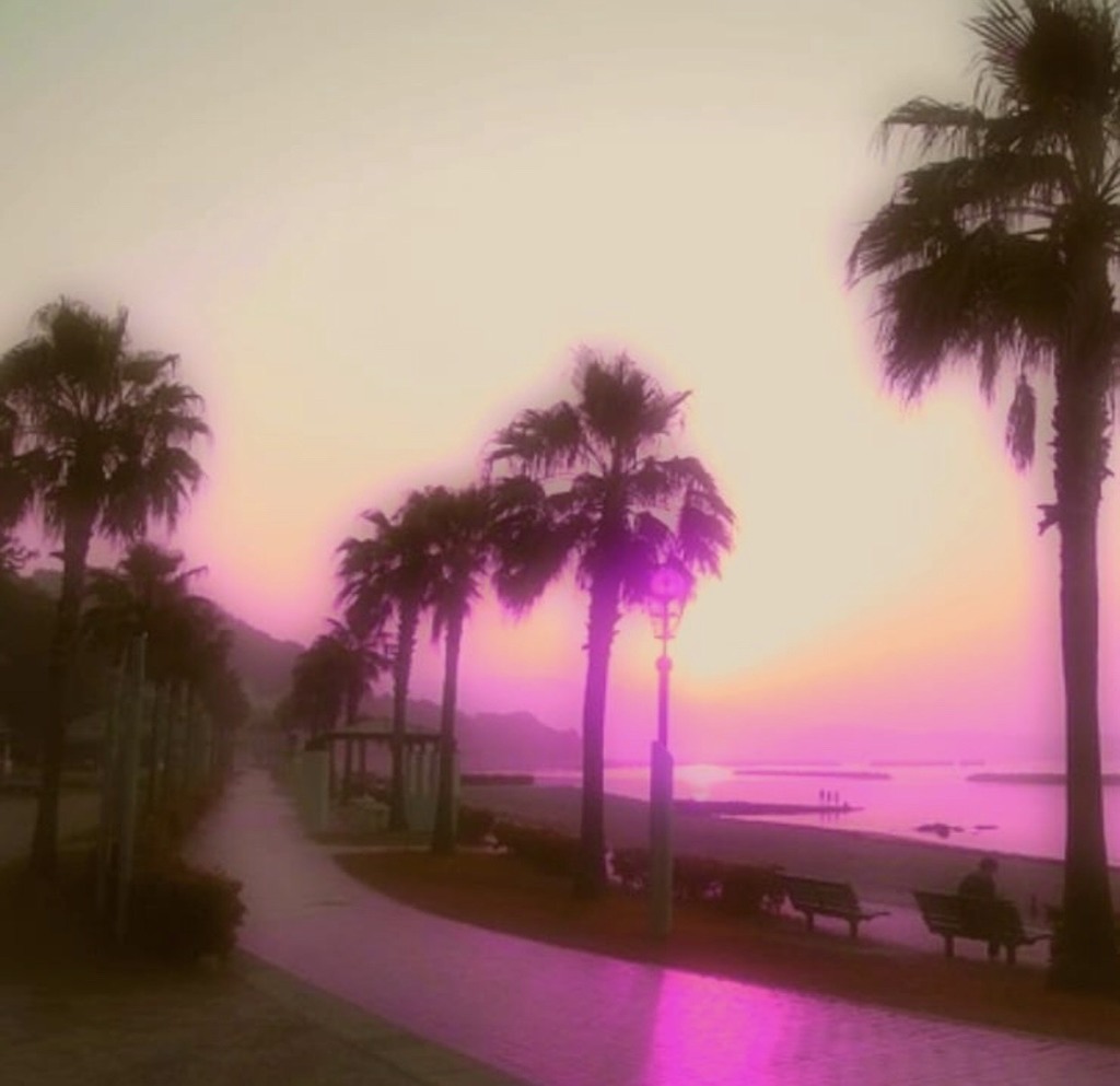 oahu island in hawaii　高橋貴子