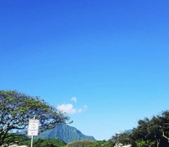 澄んだ空～　高橋貴子