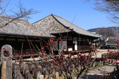 飛鳥時代の瓦と梅