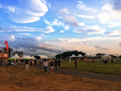 summer sonic 2015