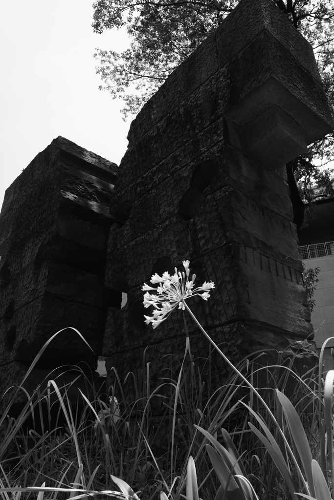 花と彫刻