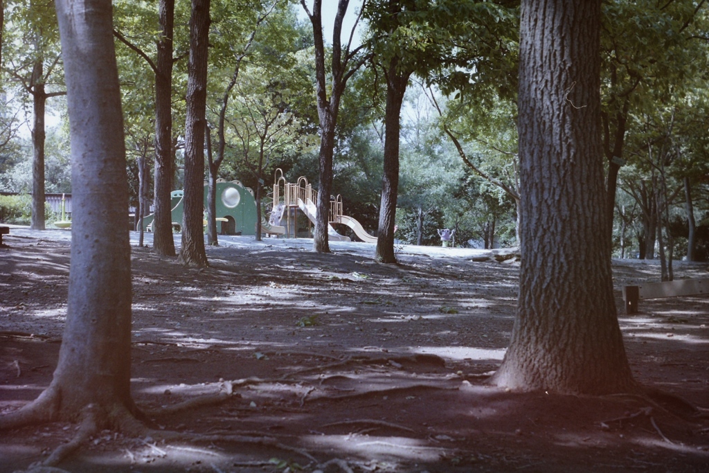 kiba park