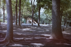 kiba park