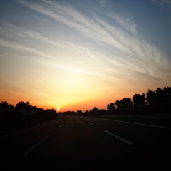 morning sun