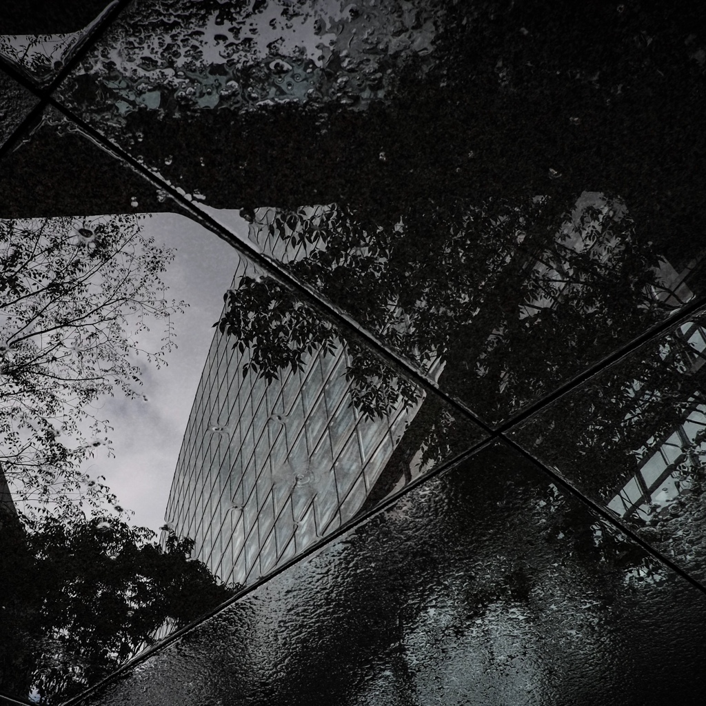 rainy day