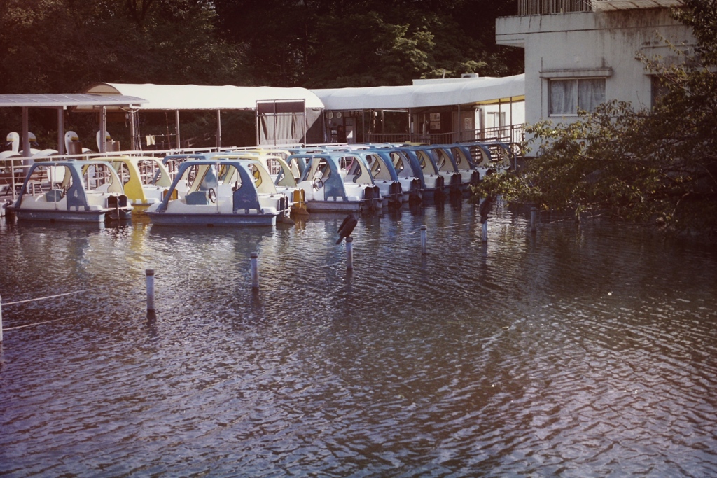 boat