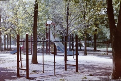 kiba park
